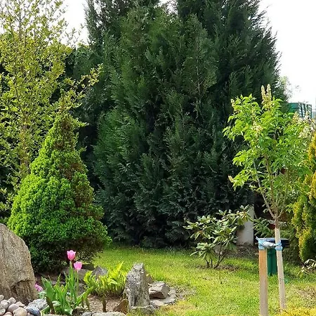 Sielska Kraina ファームステイ *