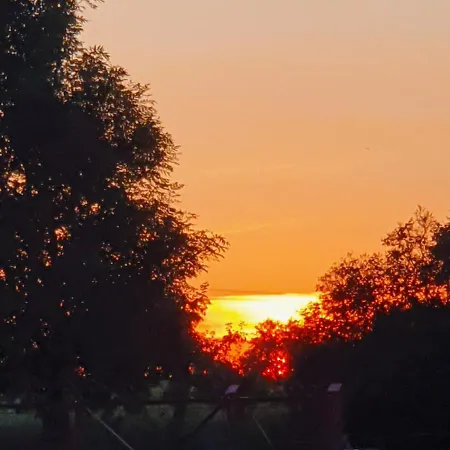 Sielska Kraina ファームステイ